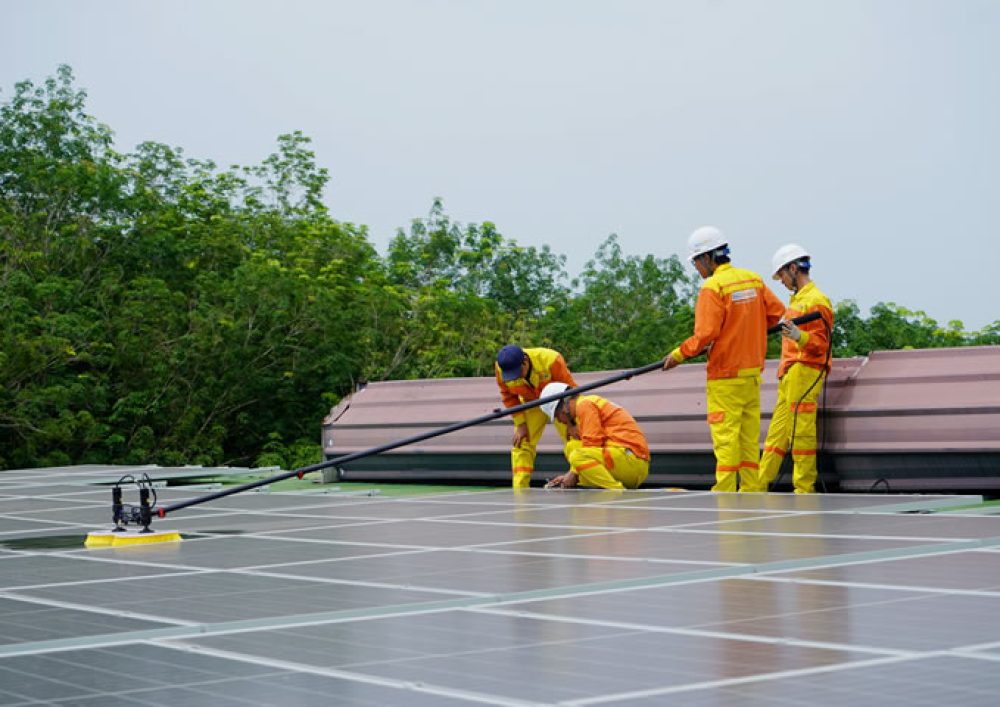 Solar maintenance team performing their work